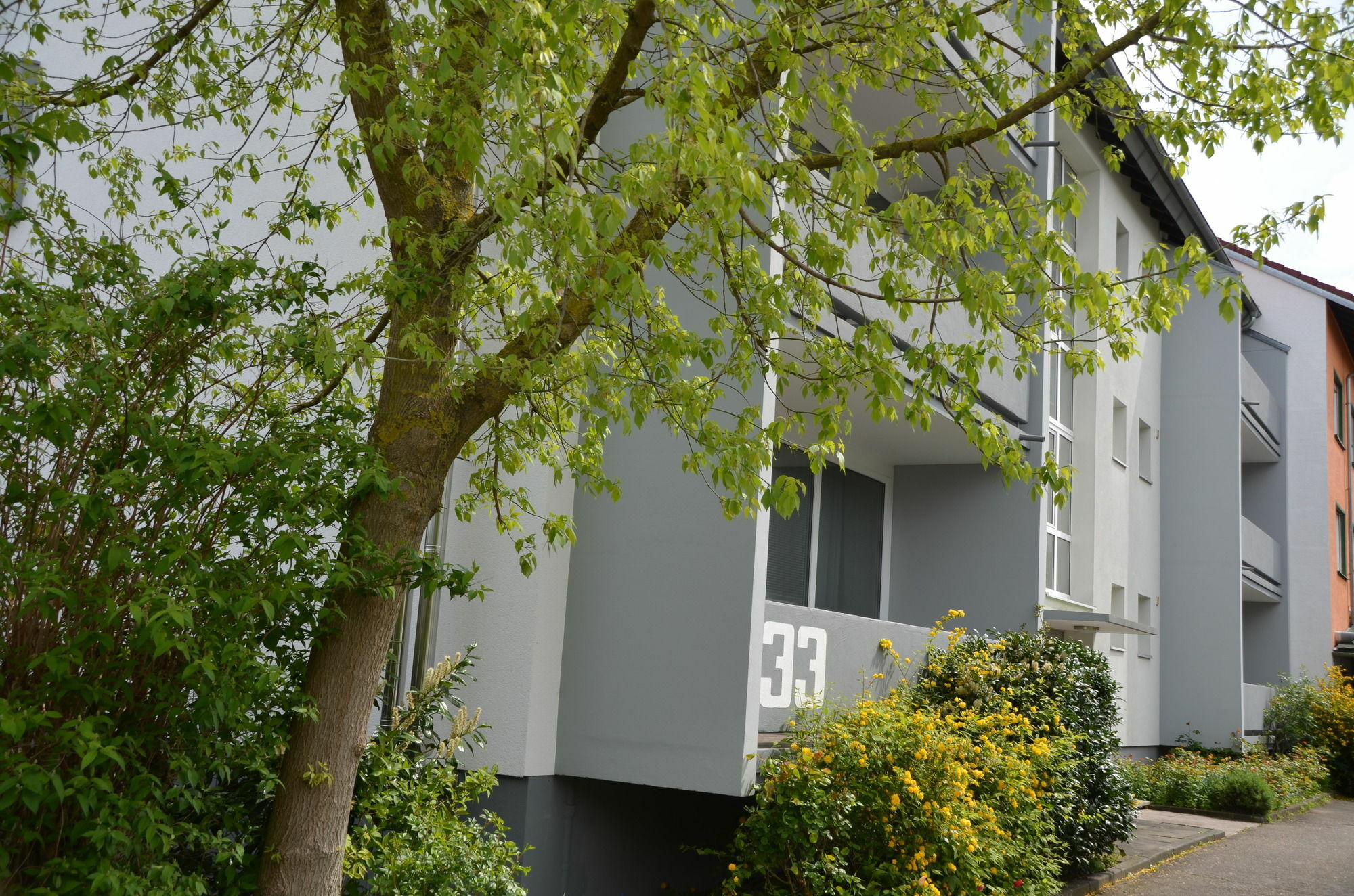 Neu Heidelberg - Guesthouse & Apartments Ngoại thất bức ảnh